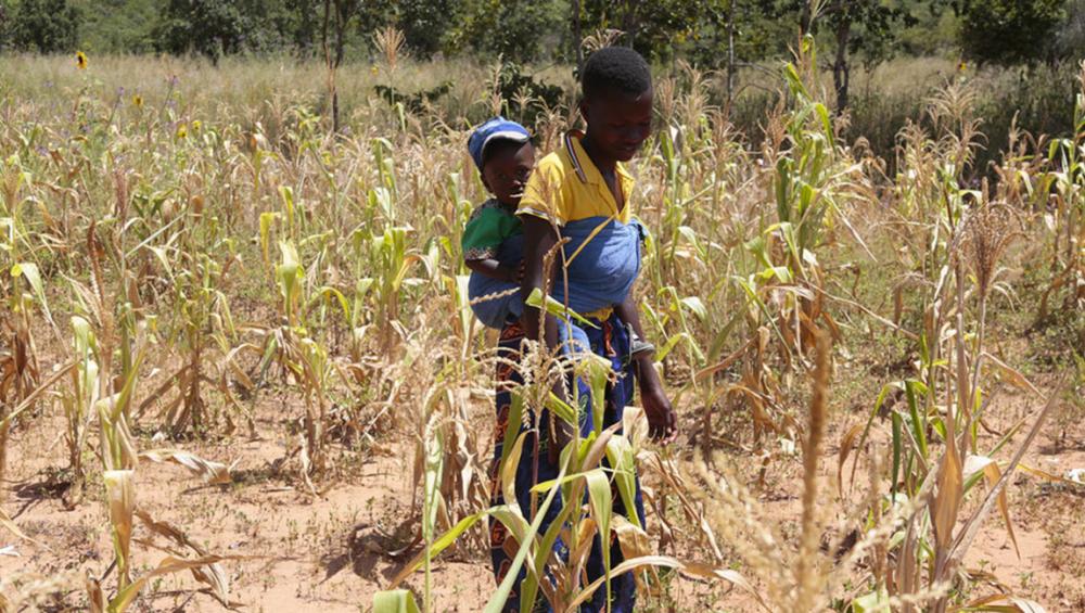 UN boosts humanitarian appeal to help tackle Zimbabwe’s ‘worst-ever’ hunger crisis