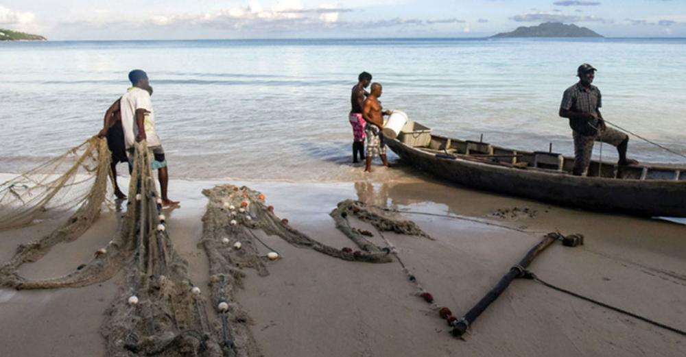 Sustainable fishing staying afloat in developed world, sinking in poorer regions