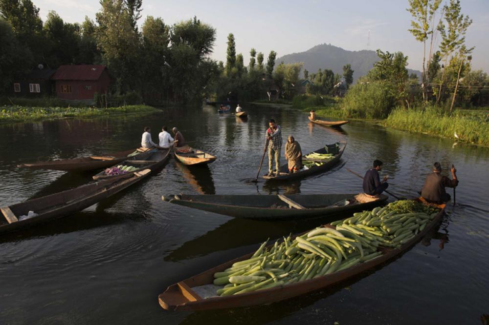 Violence has reduced considerably in Kashmir: Activist from Valley in London webinar a year after scrapping Article 370 