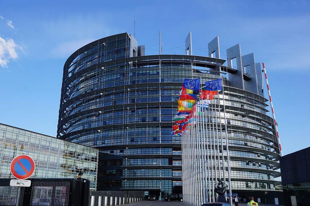European Parliament asks France, EU to impose sanctions against terrorist activities in Pakistan