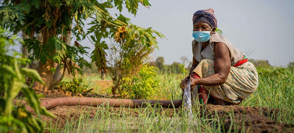 Business leaders join UN chief to step up action for sustainability