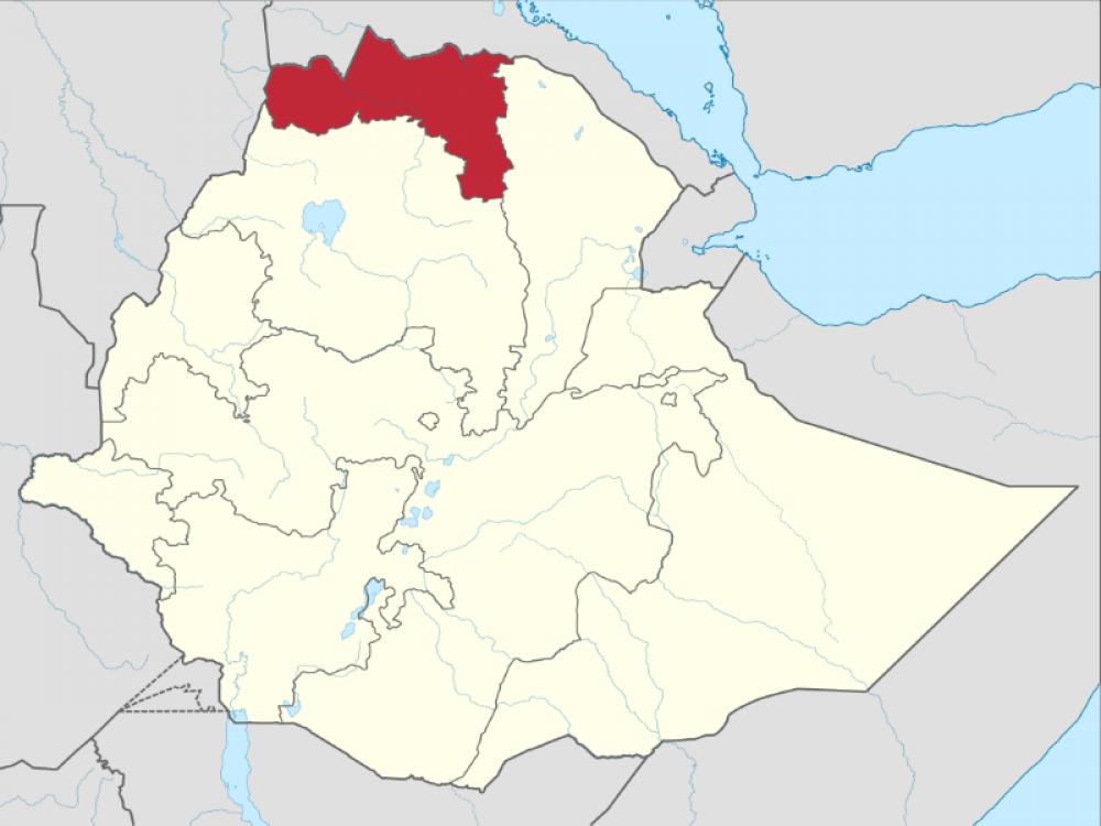 Tigray Crisis: TPLF lays down preconditions for peace talks with Ethiopian govt Tigray Crisis: TPLF lays down preconditions for peace talks with Ethiopian govt