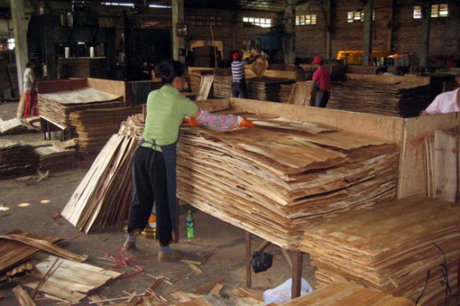 World wood production up for fourth year; paper stagnant as electronic publishing grows – UN report