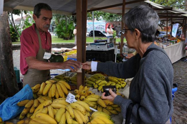 Global food prices steady in Dec 2013: UN 