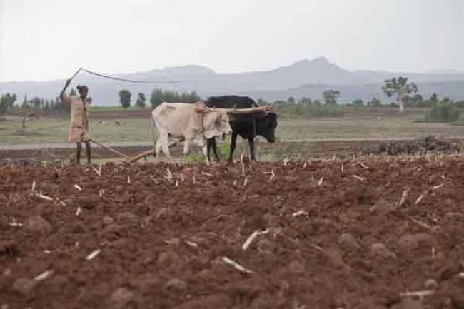 Ethiopia will need urgent global support in race to prepare for main agricultural season – UN
