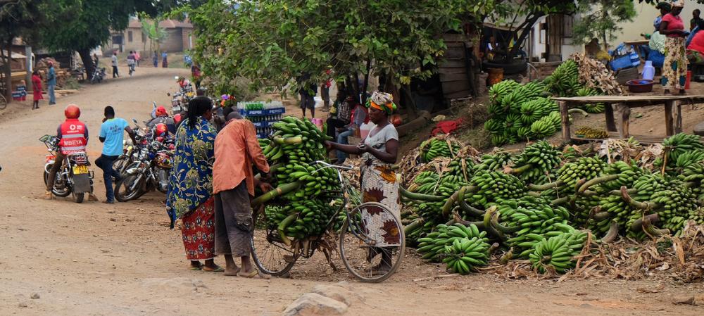 Economic growth ‘exceeds expectations’ but trade tensions are rising: UN report Economic growth ‘exceeds expectations’ but trade tensions are rising: UN report