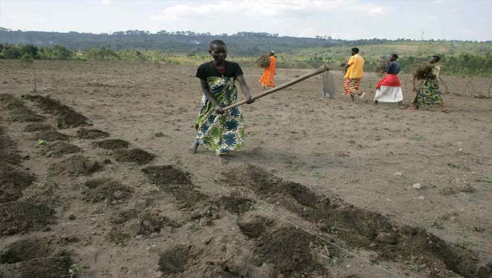 Job creation around agriculture can spur youth employment in Africa – UN agency