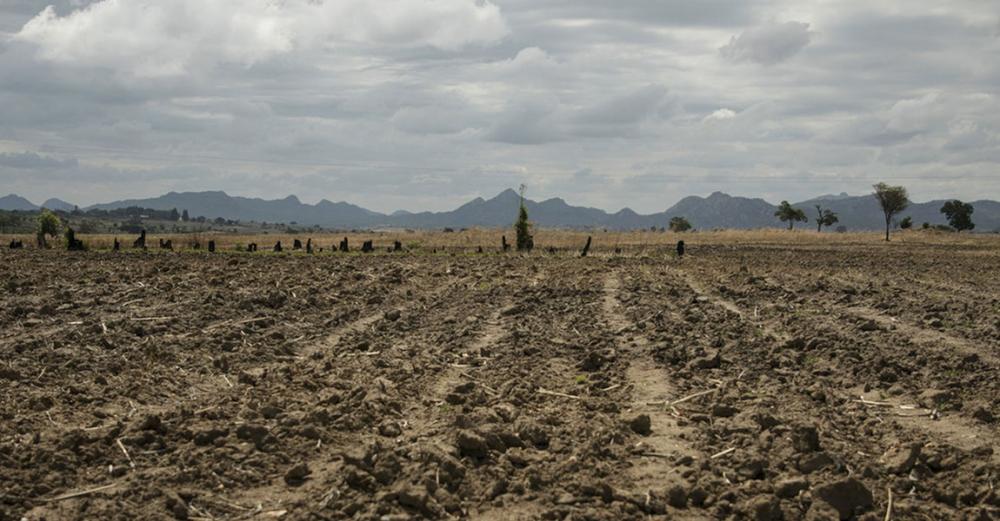 WFP calls for increased support as eight million in Zimbabwe face hunger