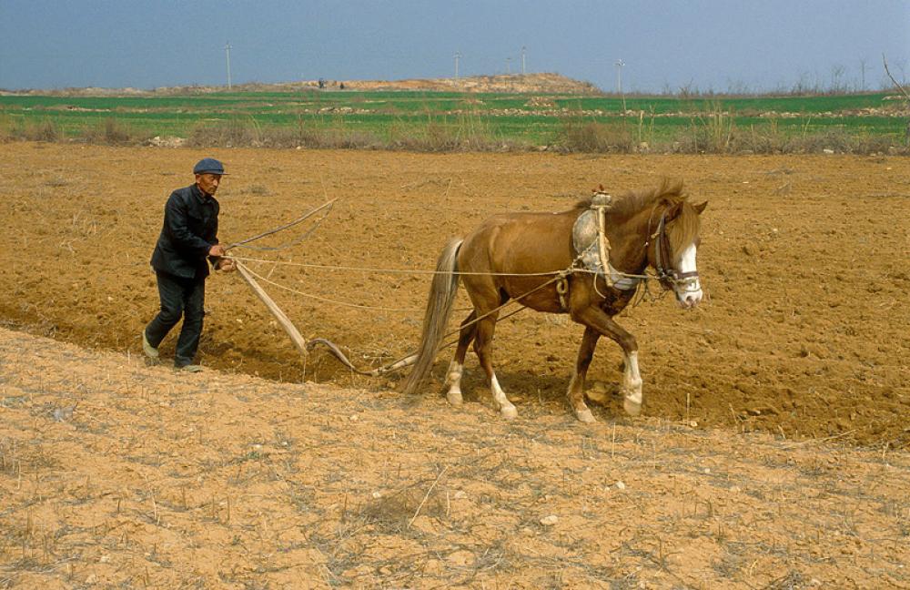 COVID-19-hit China now faces a food crisis after massive floods