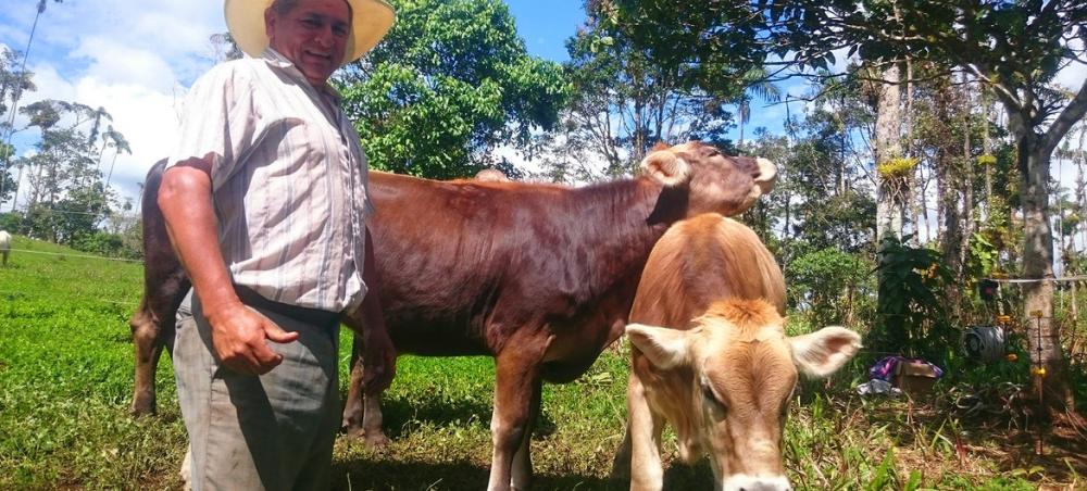 Ecuador: Sustainable cattle farmer eases COVID-19 crisis with free milk for families Ecuador: Sustainable cattle farmer eases COVID-19 crisis with free milk for families