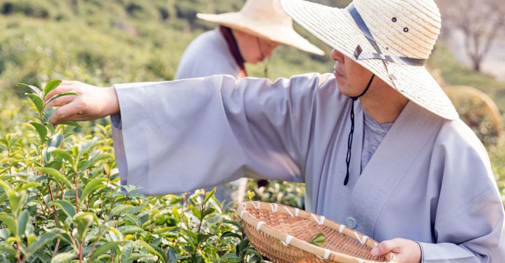 ‘Country-driven’ approach needed to limit COVID-19 damage to food security ‘Country-driven’ approach needed to limit COVID-19 damage to food security