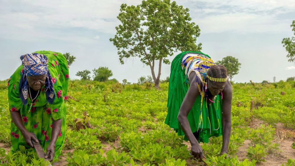'Temporary Basic Income' could slow COVID surge, provide lifeline for world’s poorest 'Temporary Basic Income' could slow COVID surge, provide lifeline for world’s poorest