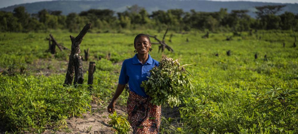 FAO head urges G20 to invest in a healthy planet for healthy food