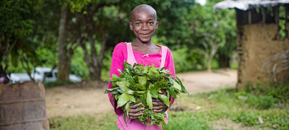 Startups, awards and new research: youth-led World Food Forum kicks off