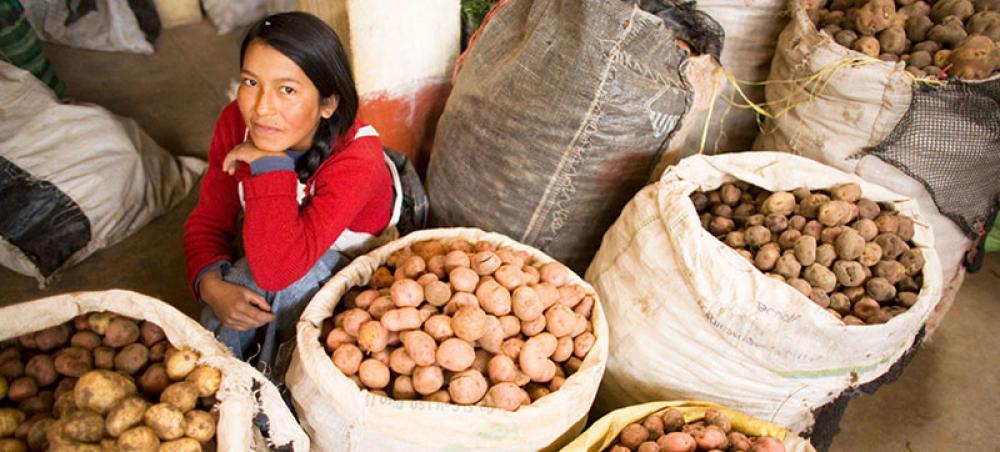 World food prices reach highest level in more than a decade World food prices reach highest level in more than a decade