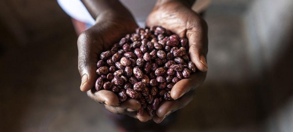 Global food prices rose ‘sharply’ during 2021