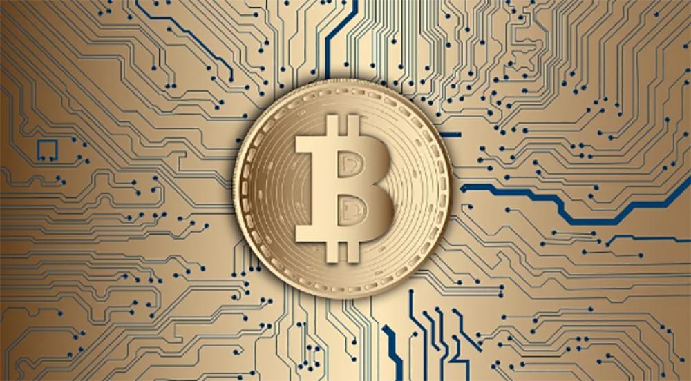 Bitcoin price drops below 25,000 USD Bitcoin price drops below 25,000 USD