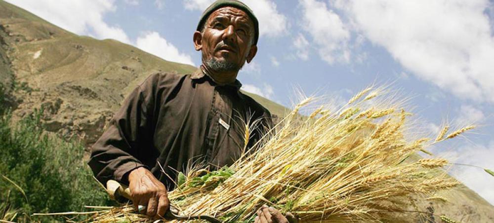 Afghanistan: World Bank provides $150 million lifeline to stem rural hunger