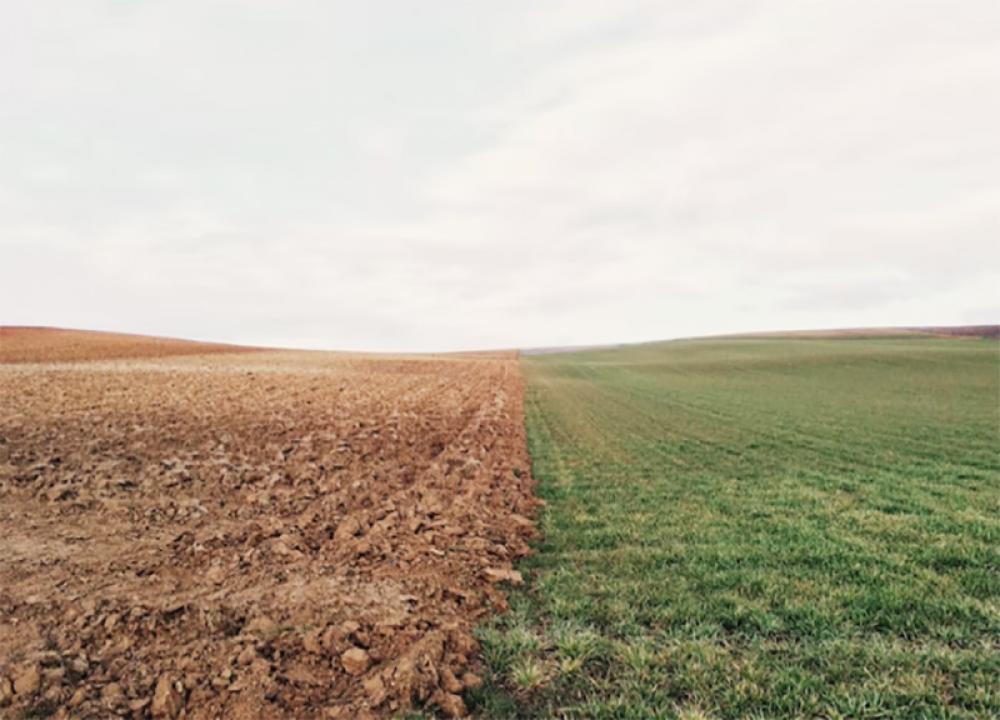 China's extreme weather summer affecting its food and energy security