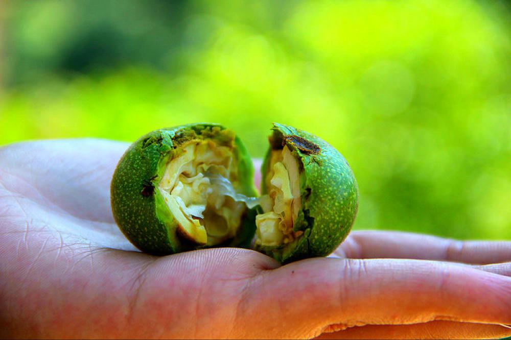  Chinese walnut imports leave Pakistan-administered Kashmir