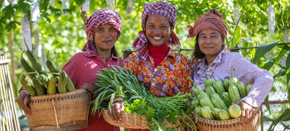 Food prices decline in December following ‘two very volatile years’: FAO