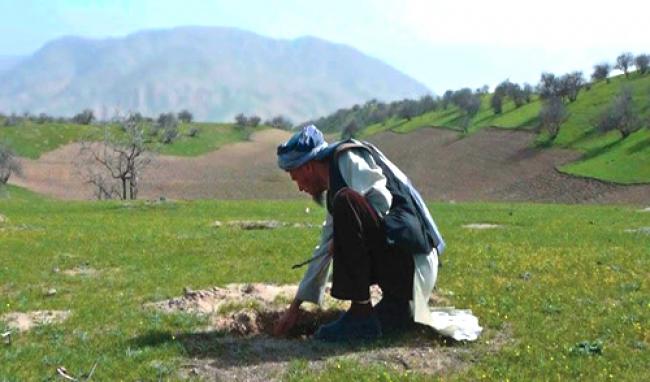 Environment should play greater role in peacebuilding: UN