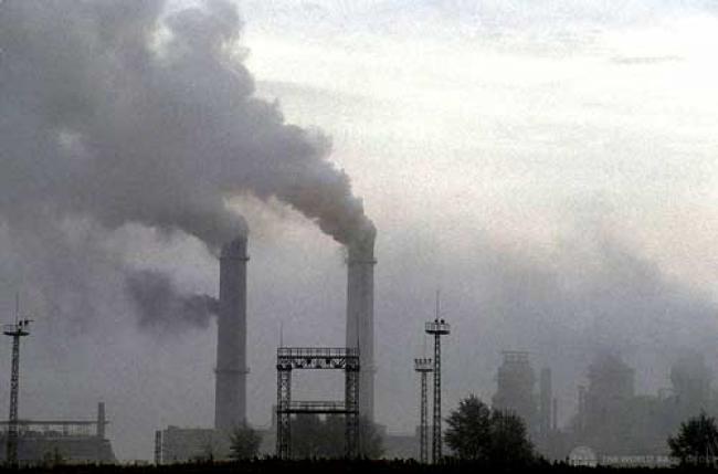 Air pollution linked to 1 in 8 deaths worldwide: WHO 