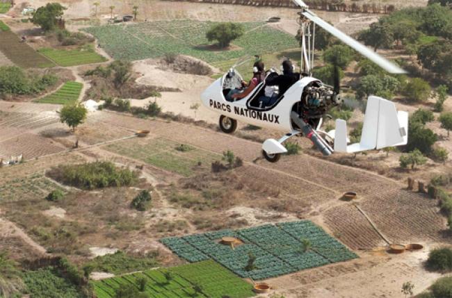Senegal: UN welcomes efforts to eradicate tsetse fly
