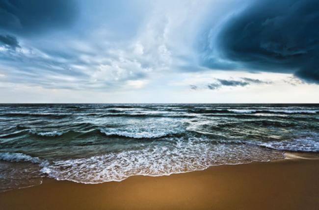 Human cause of global warming near certainty: UN 