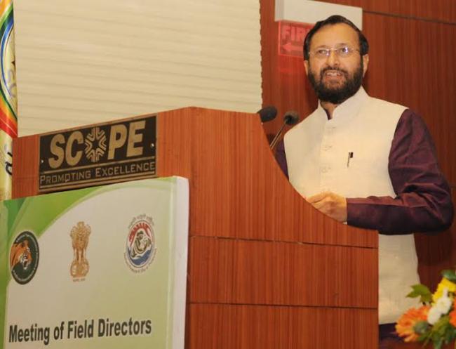 Tiger population in India increases by 30.5 pct: Prakash Javadekar 