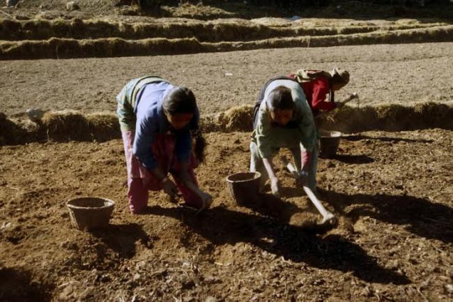 Only ‘limited window to act’ to assist farmers in Nepal recovering from earthquakes – UN agency