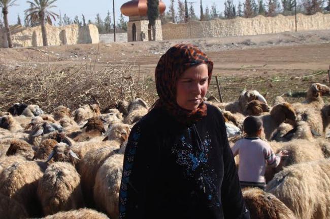 Syria: bread prices up nearly 90 per cent, pushing more people into hunger, UN report warns