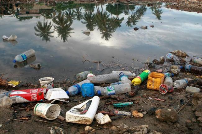 Biodegradable plastics are not the answer to reducing marine litter: UN