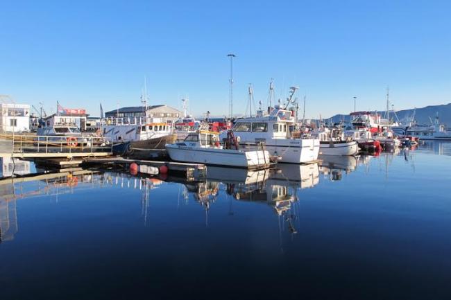 Ahead of UN conference, Reykjavik and businesses sign declaration on climate change