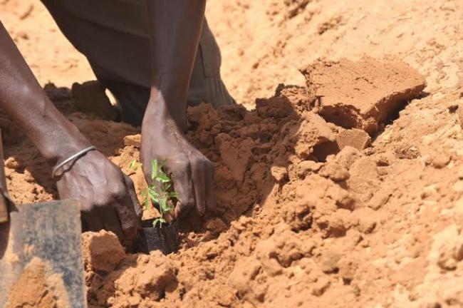 International Year of Soils: Ban appeals for reverse in rate of soil degradation