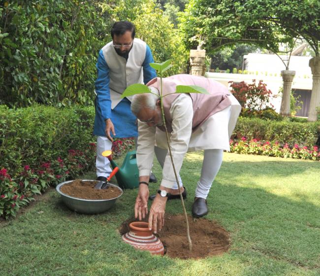 PM plants "Kadamb" sapling on World Environment Day