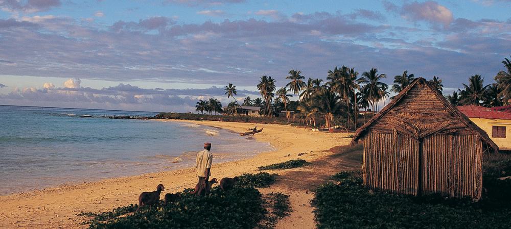 Indian Ocean perfume islands threatened by climate change