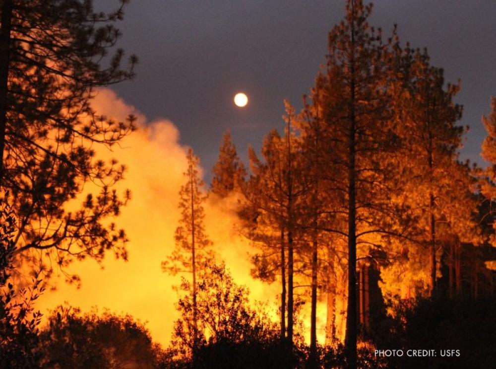 8 dead in California wildfires, erratic winds helping fire to spread, say firefighters