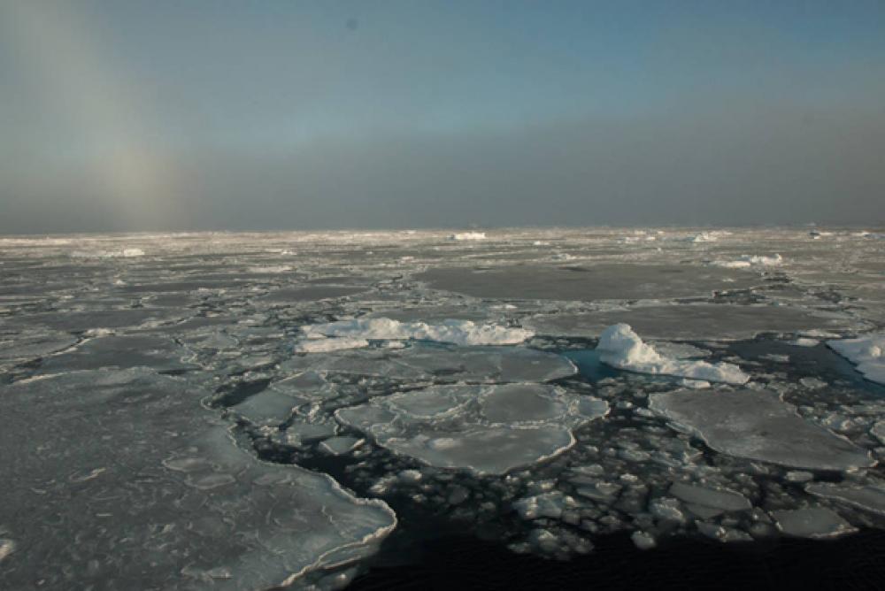 Greenland on thin ice as study shows ice sheet melting 'off the charts' 