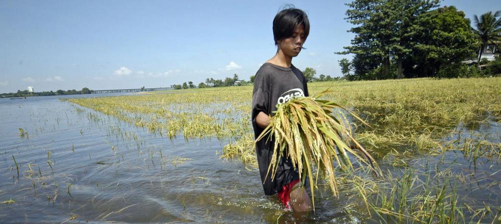 Conflicts and extreme climate change threatens access to food in 39 countries – UN agriculture report