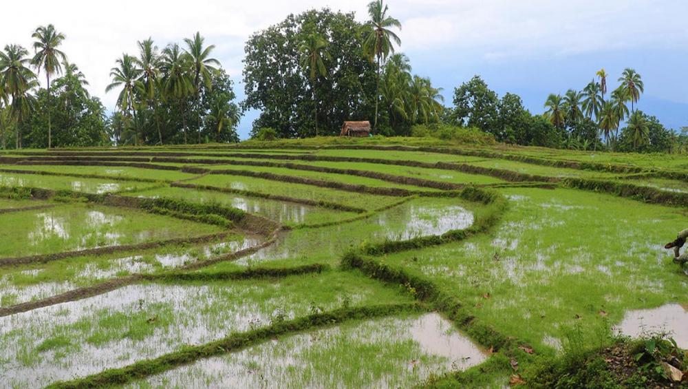 Climate-proofing Timor-Leste