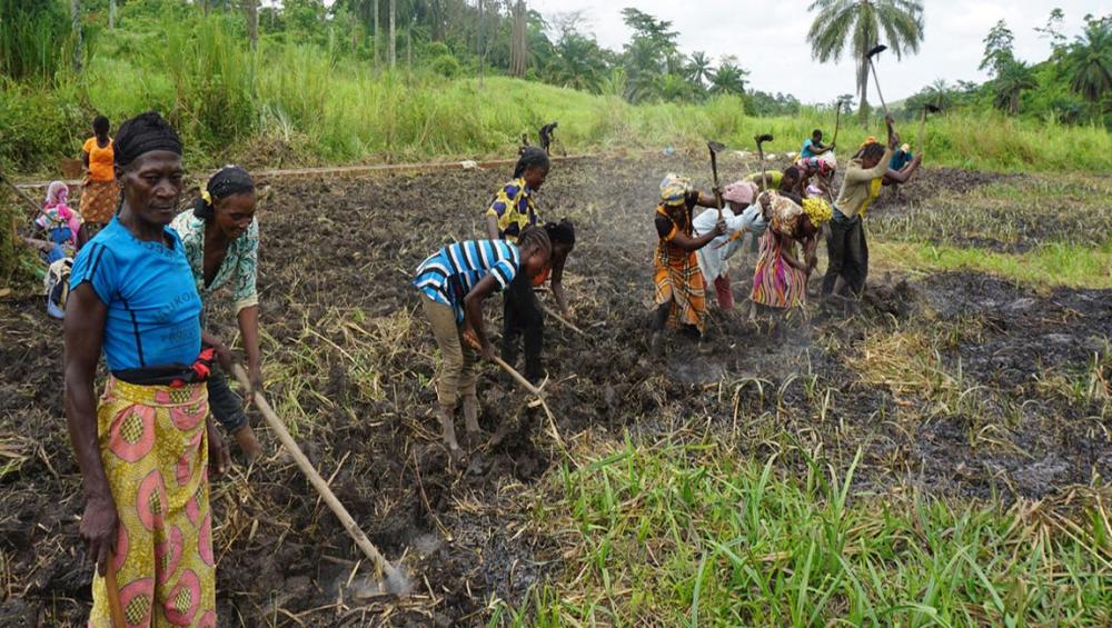 Congo Prospers from Environmental Protection