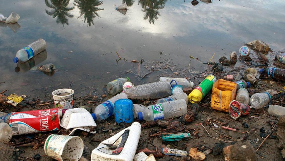 Plastic-busting fungi may help tackle pollution, climate change: UN Environment