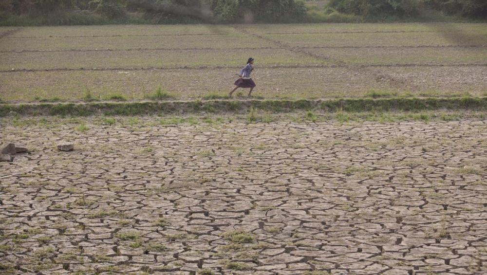 Soil pollution ‘jeopardizing’ life on Earth, UN agency warns on World Day