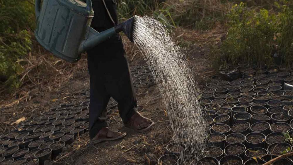 On World Day to Combat Desertification, UN shines spotlight on ‘true value’ of land