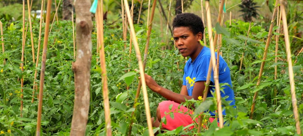 UN commits to help Pacific island agriculture adapt and survive climate crisis