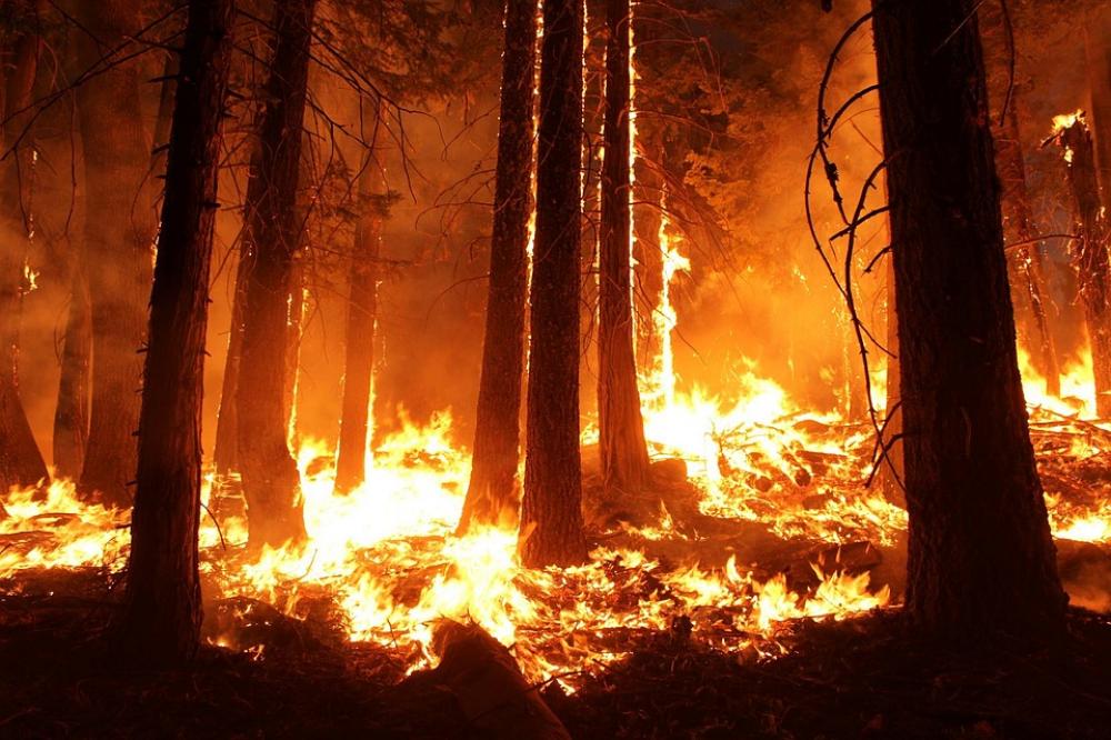 Over 30,000 forced to flee Australia's Gippsland Valley as bushfires rage