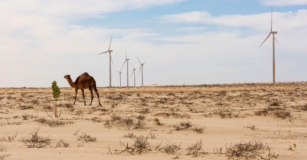 COP25: UN climate change conference, 5 things you need to know