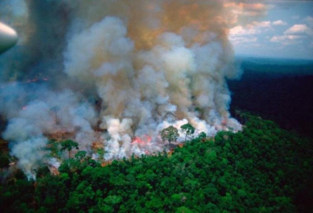 Israel sends firefighters to aid Brazil battling Amazon fires