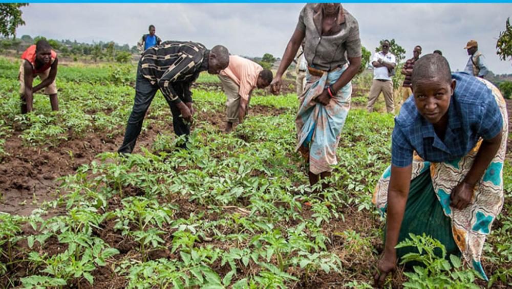 UN climate summit aims to speed up transition to cleaner, greener future